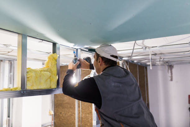 Best Insulation Maintenance and Repair in Wailea, HI