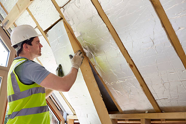 Types of Insulation We Offer in Wailea, HI